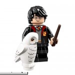 LEGO Harry Potter Series Harry Potter in Hogwarts Uniform 71022  B07FSL9T9M